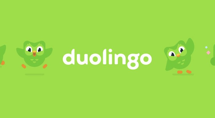 Large Duolingo icon