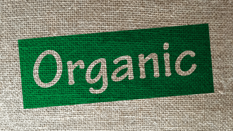 Organic foods concept