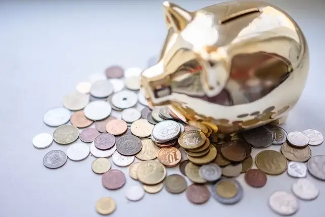 A Piggy bank with many coins beside it