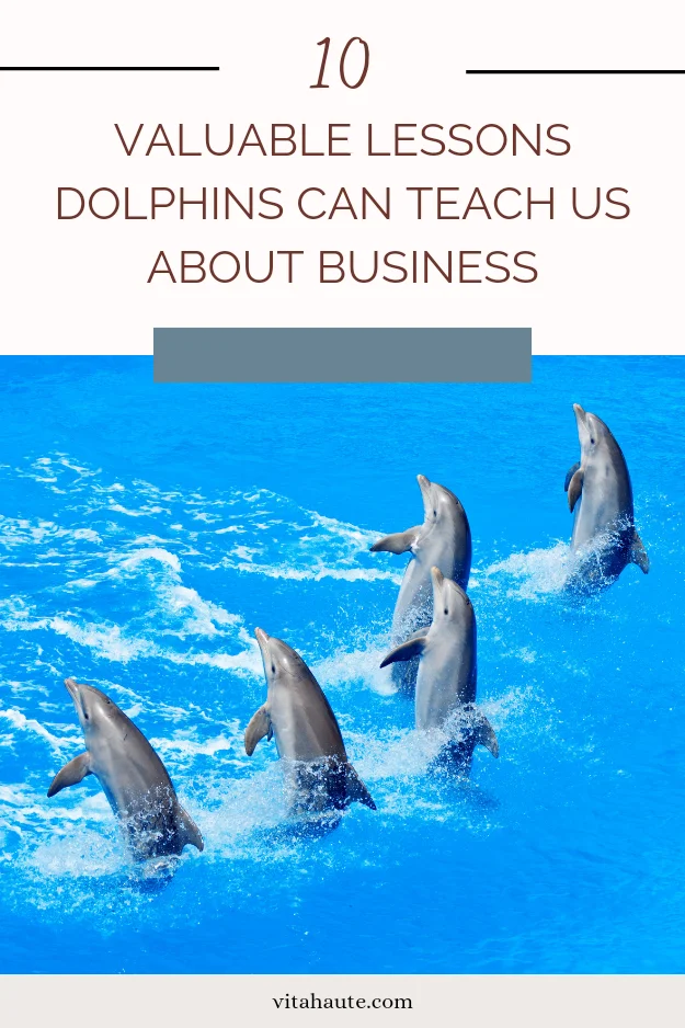 10 Valuable Lessons Dolphins Can Teach Us About Business Pinterest pin