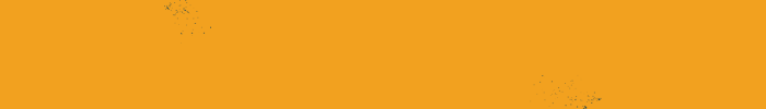 The color orange – Characteristics: Vitality, enthusiasm, creativity