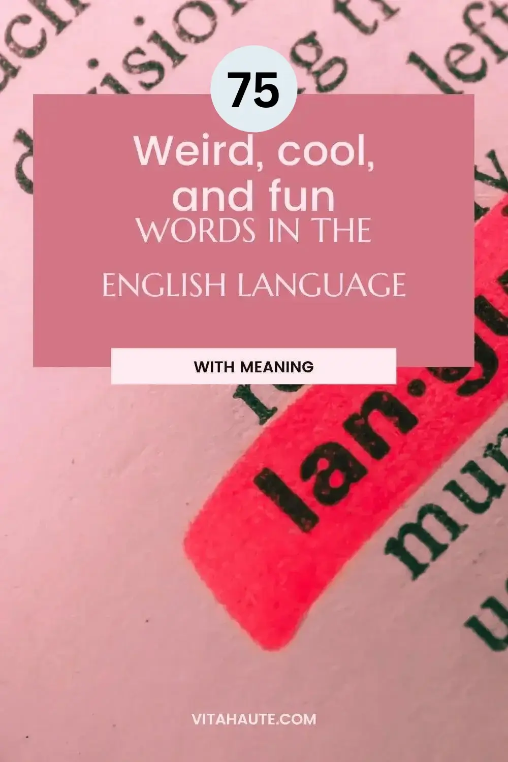 A list of cool and interesting words in the English language