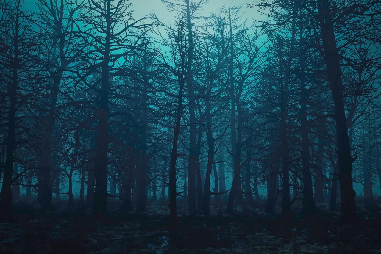 An eerie dark forest