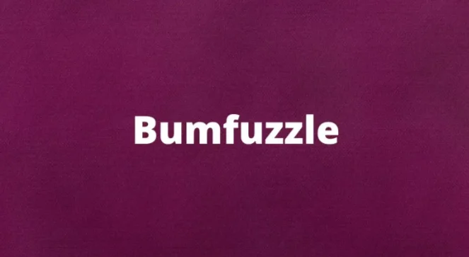 The word bumfuzzle and its meaning