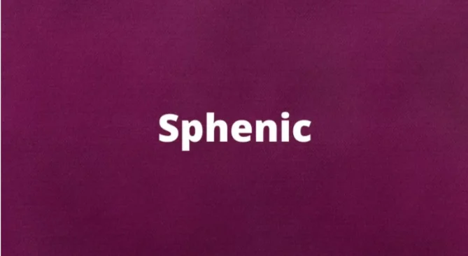 The word sphenic and its meaning