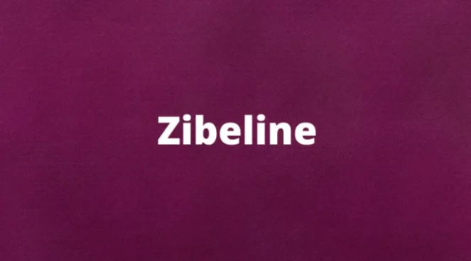 The Word Zibeline and its meaning
