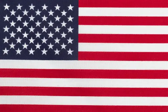 The American flag