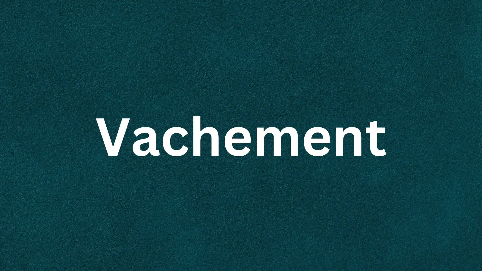 The French word vachement and its meaning