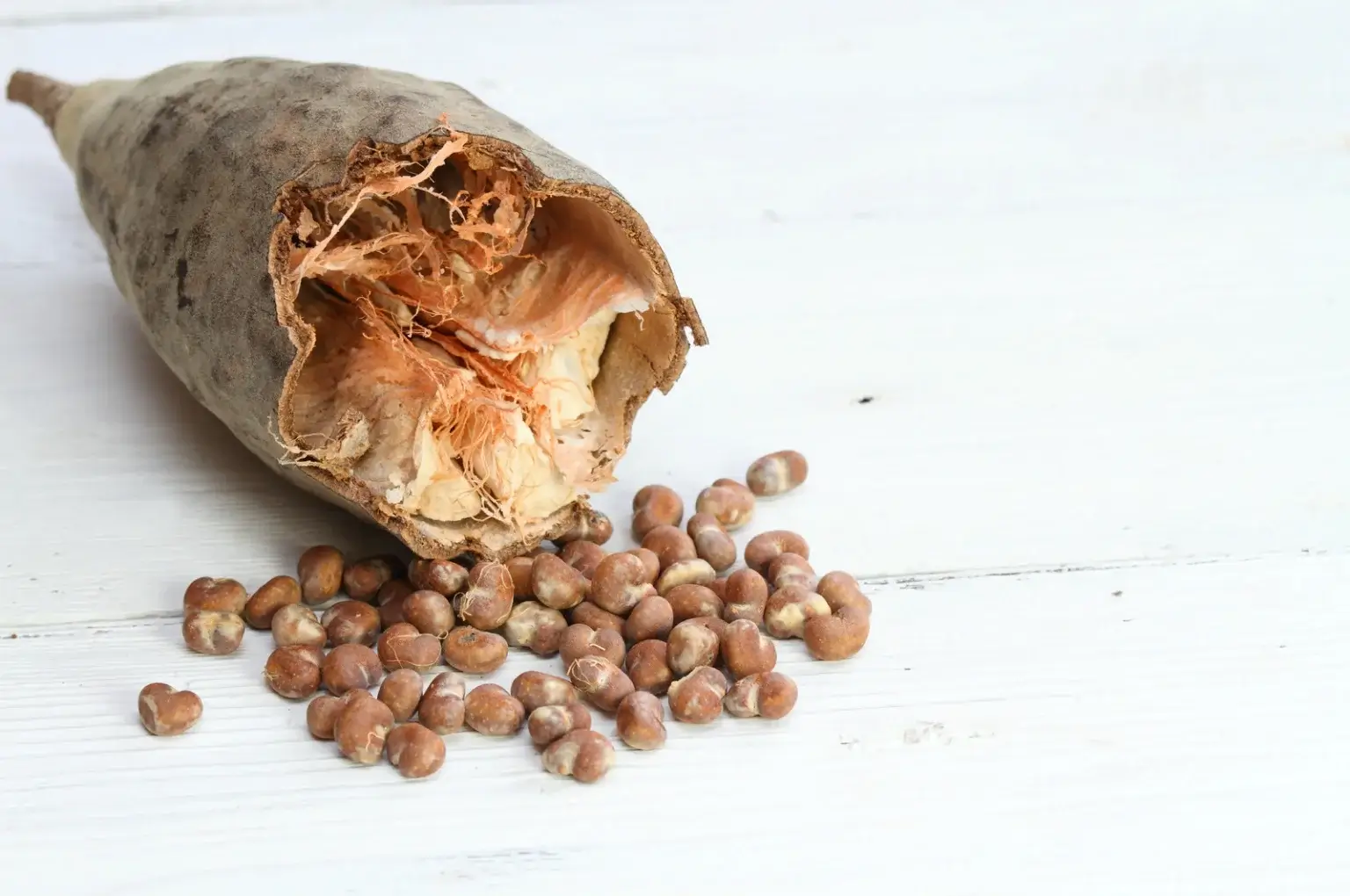 Baobab fruit