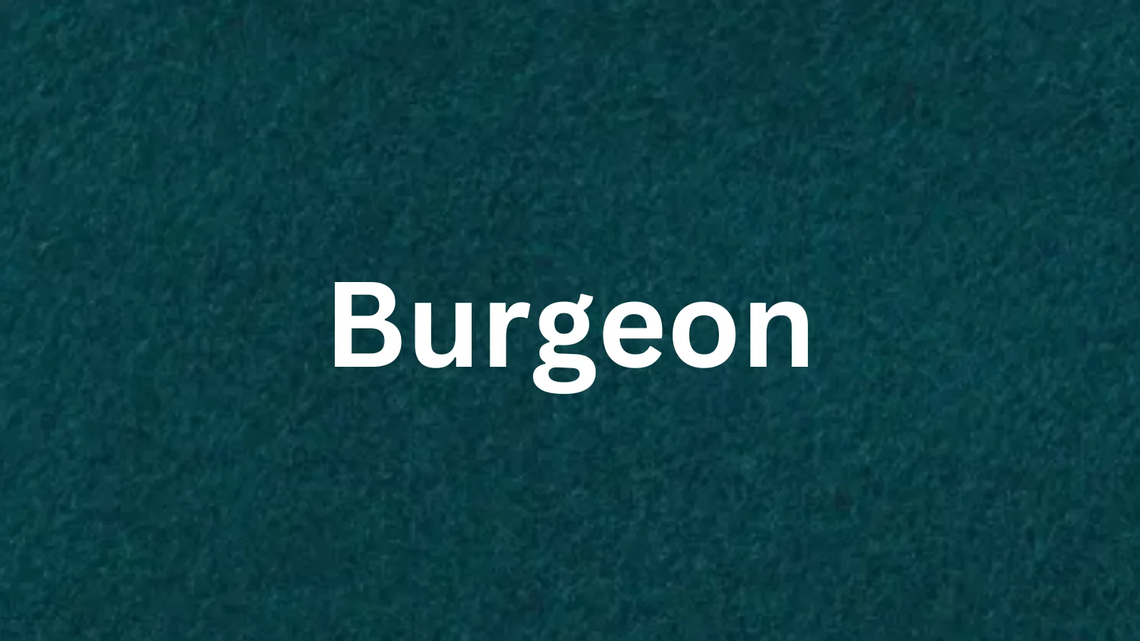 Burgeon