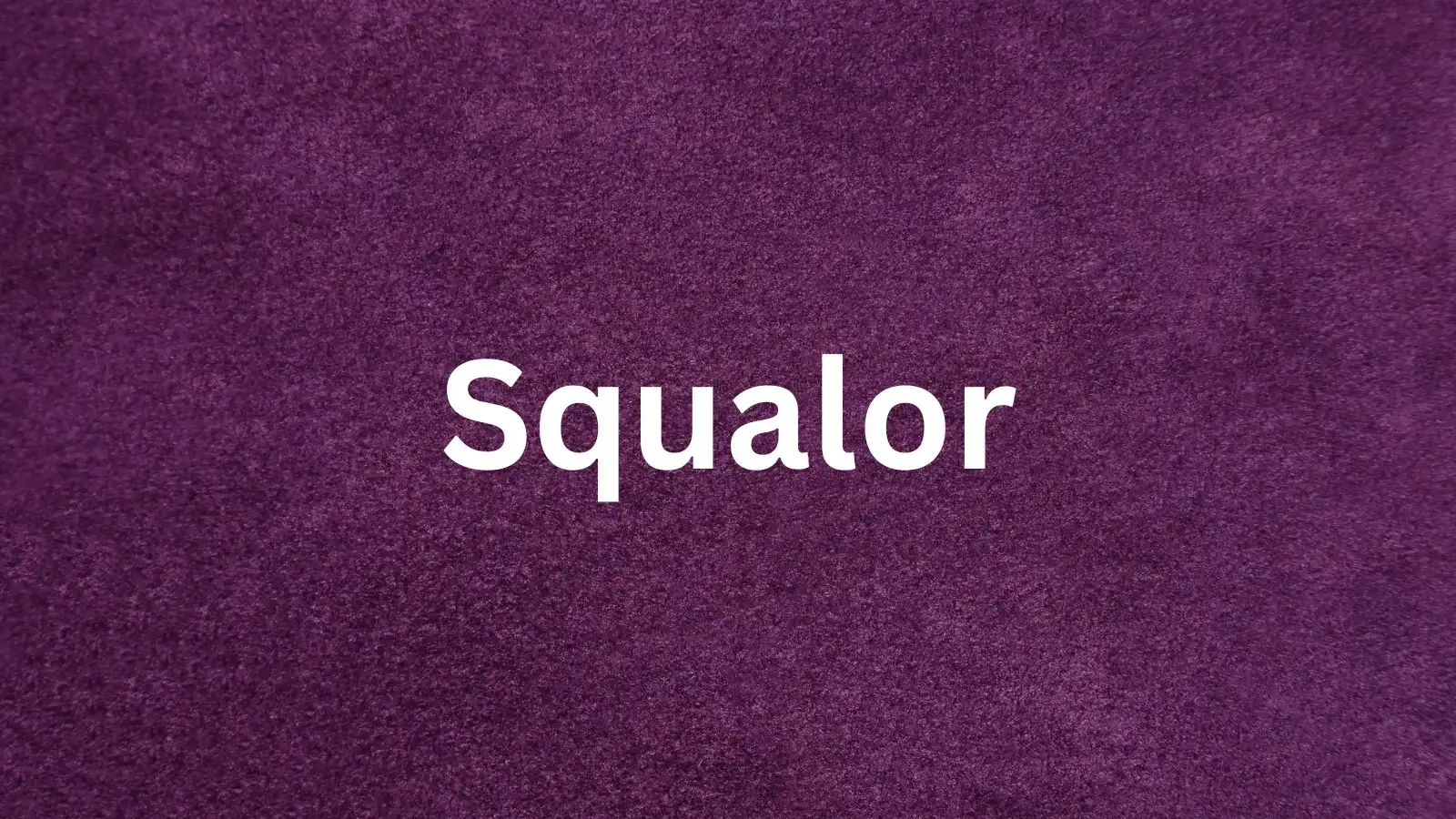 The word squalor and its meaning