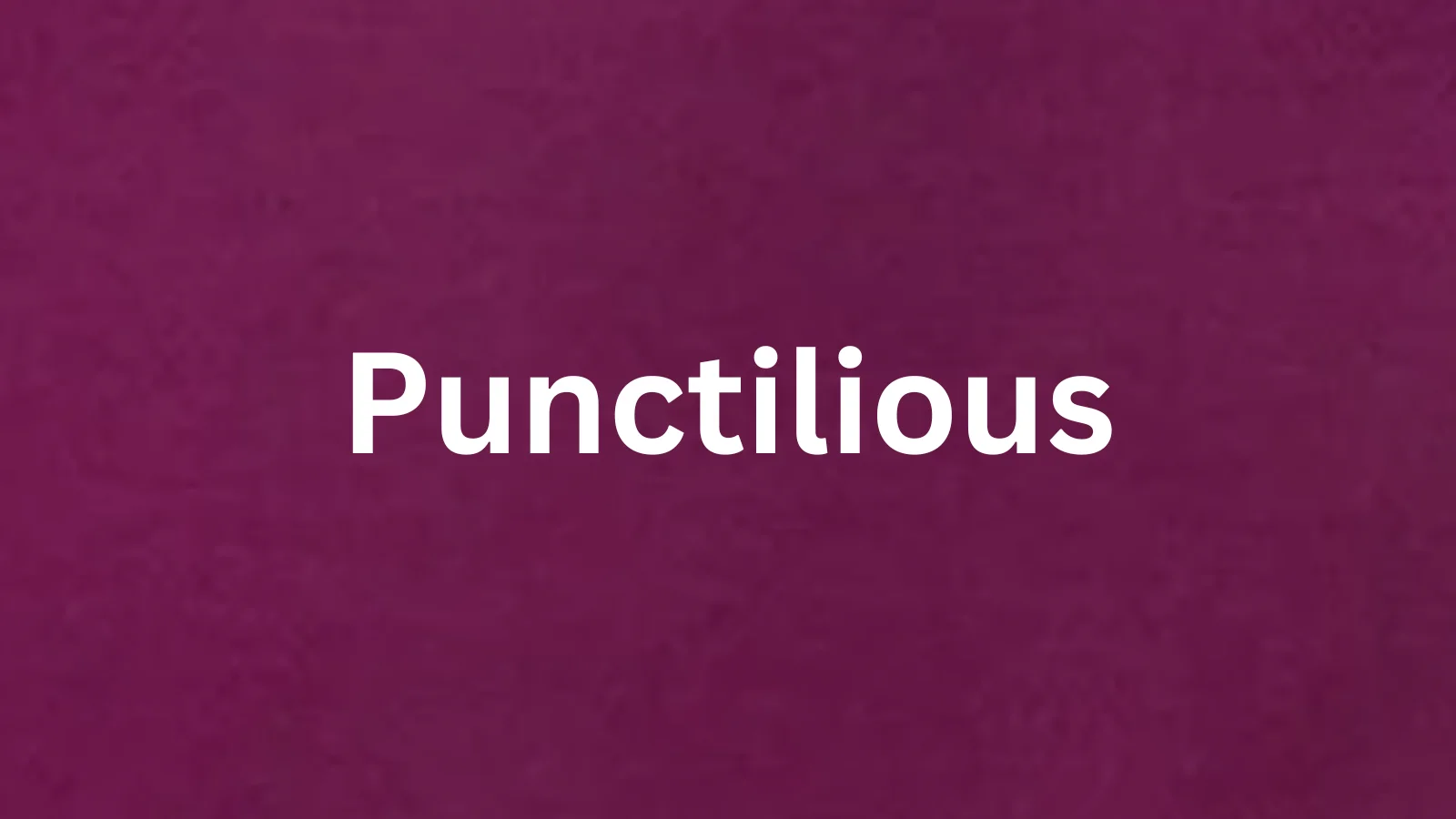 Punctilious and its meaning