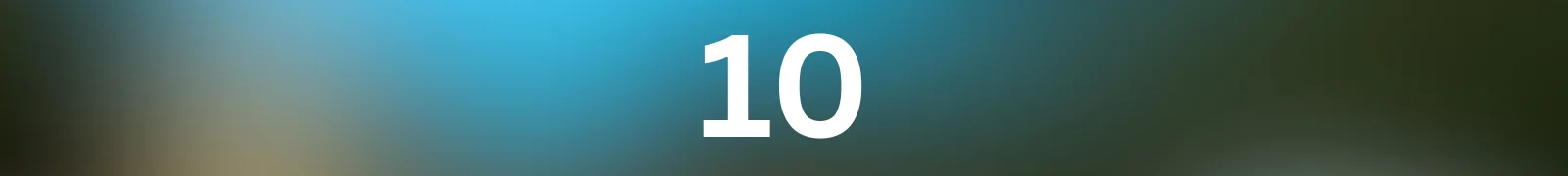 1000013502