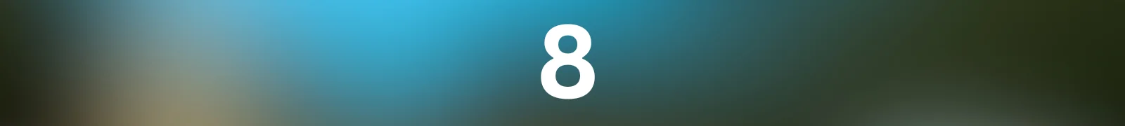 1000013528