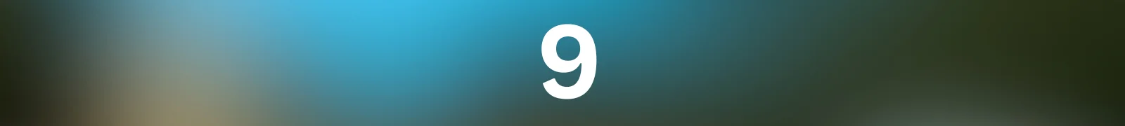 1000013529