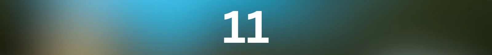 1000013531