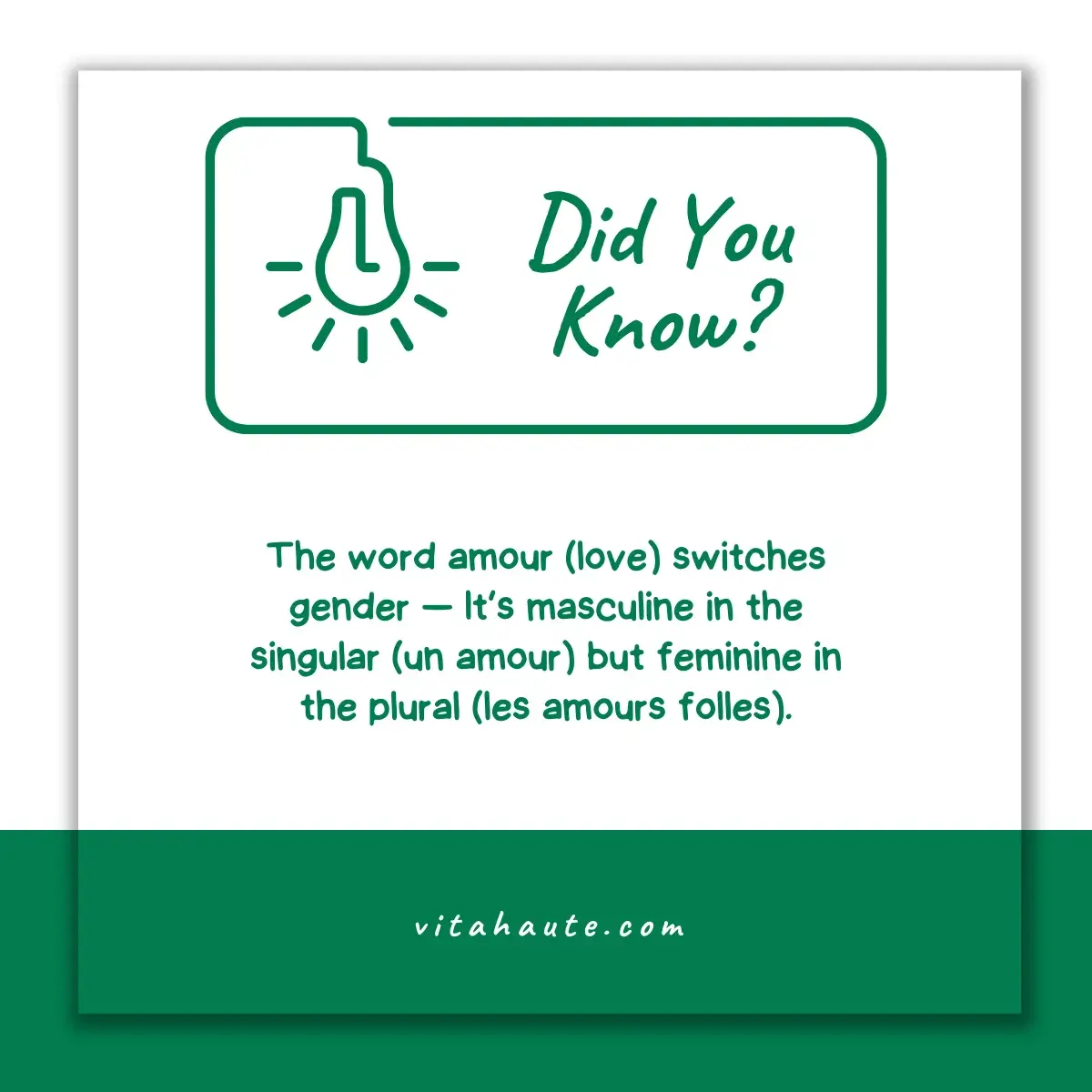 An interesting did you know fact about the French language
