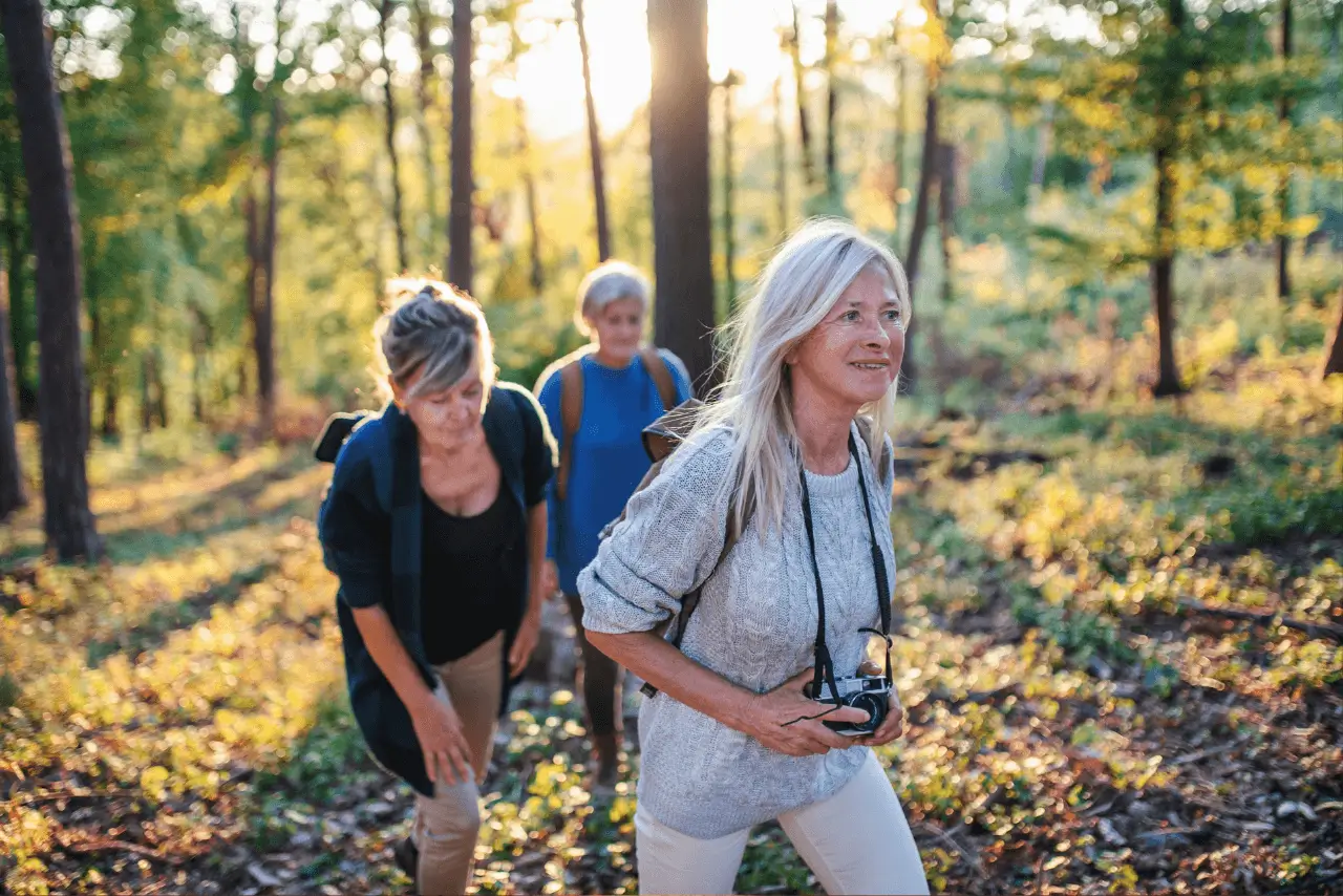 A group of people taking a walk through a forest