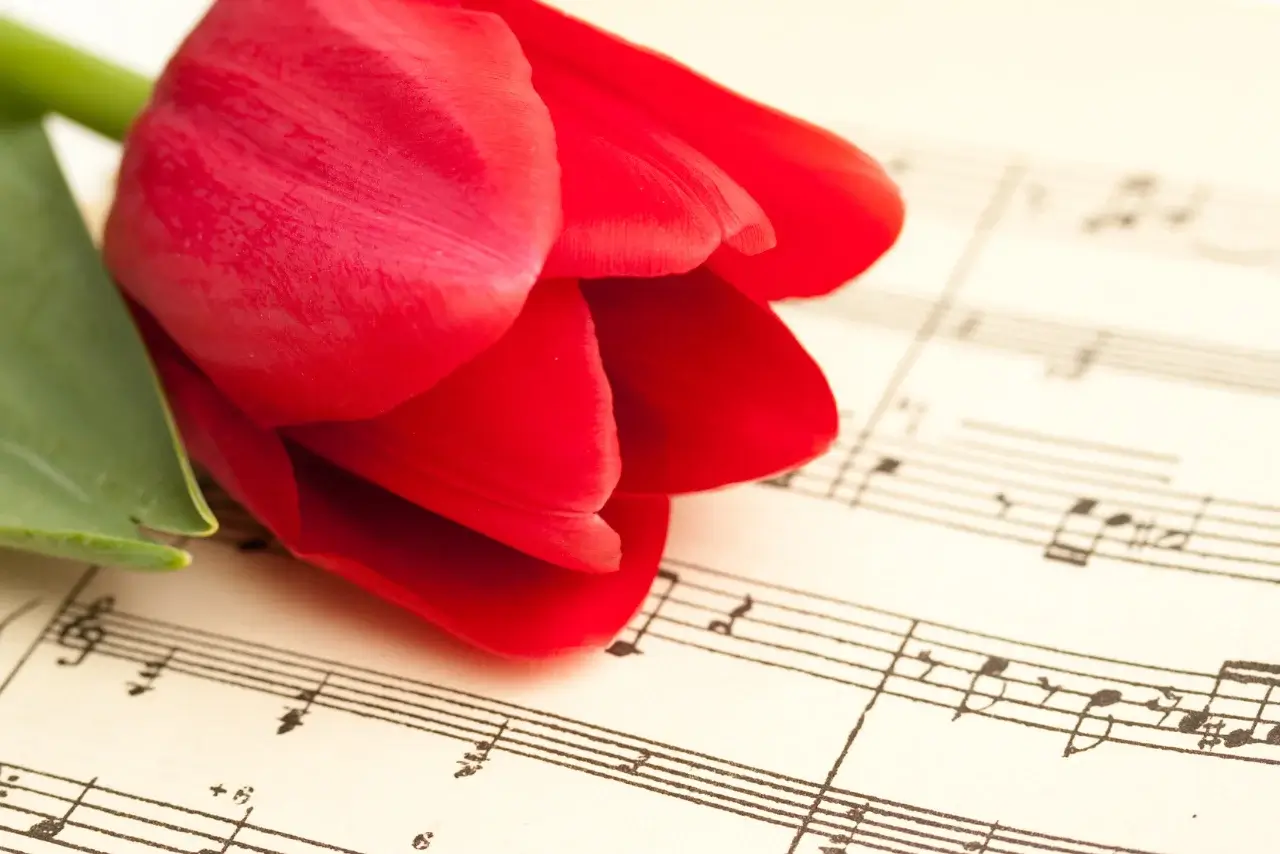 A rose on top of a piano keyboard