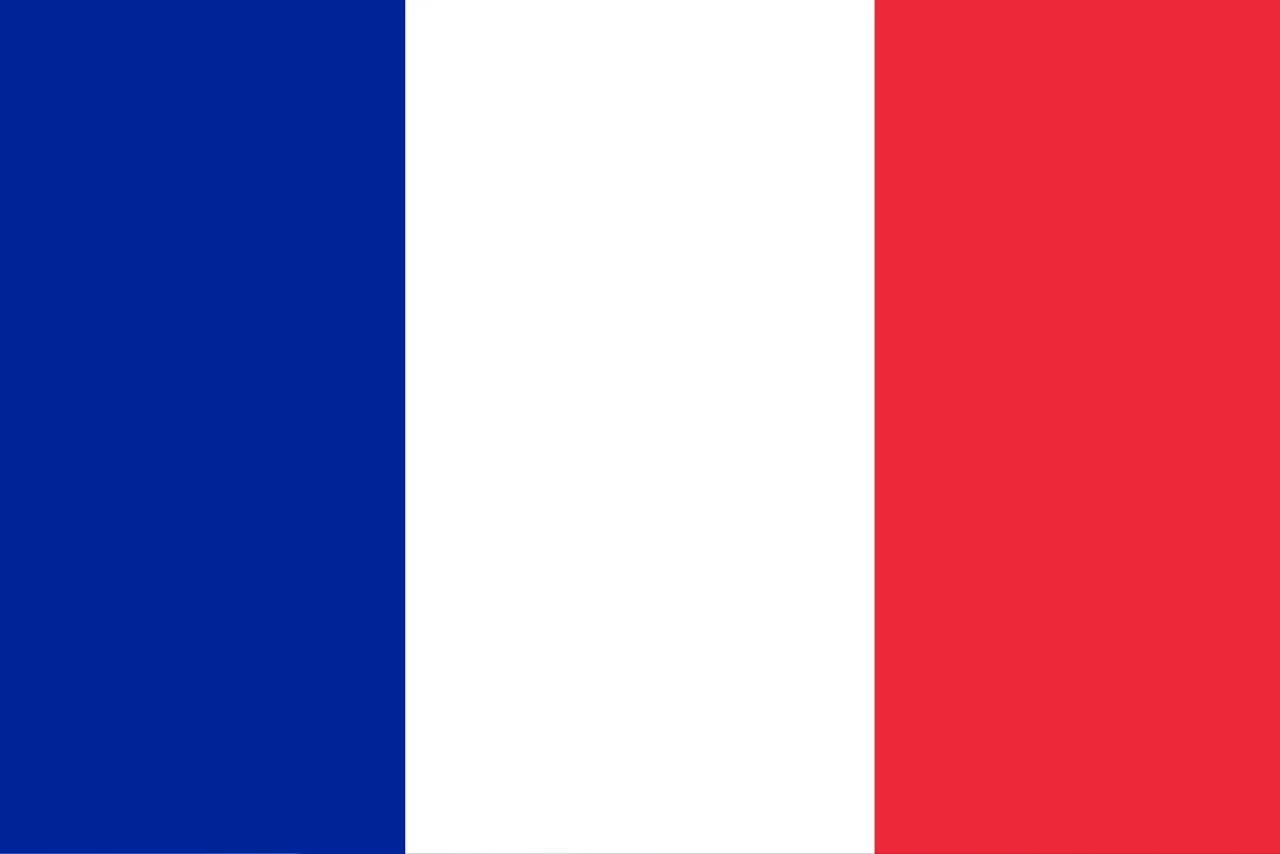 Advanced French learner studying difficult French vocabulary