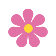 Blooming flower with colorful petals