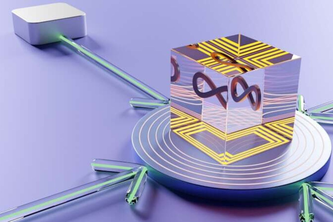 Close-up of network cables connected to servers