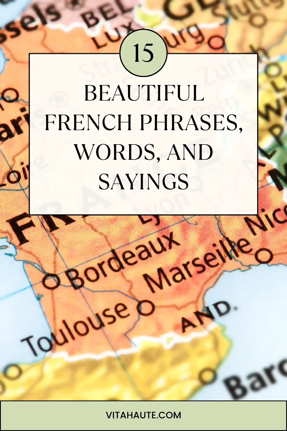 Illustration featuring elegant French vocabulary and translations