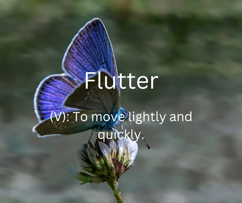 butterfly in light motion moving between flowers with soft, delicate energy