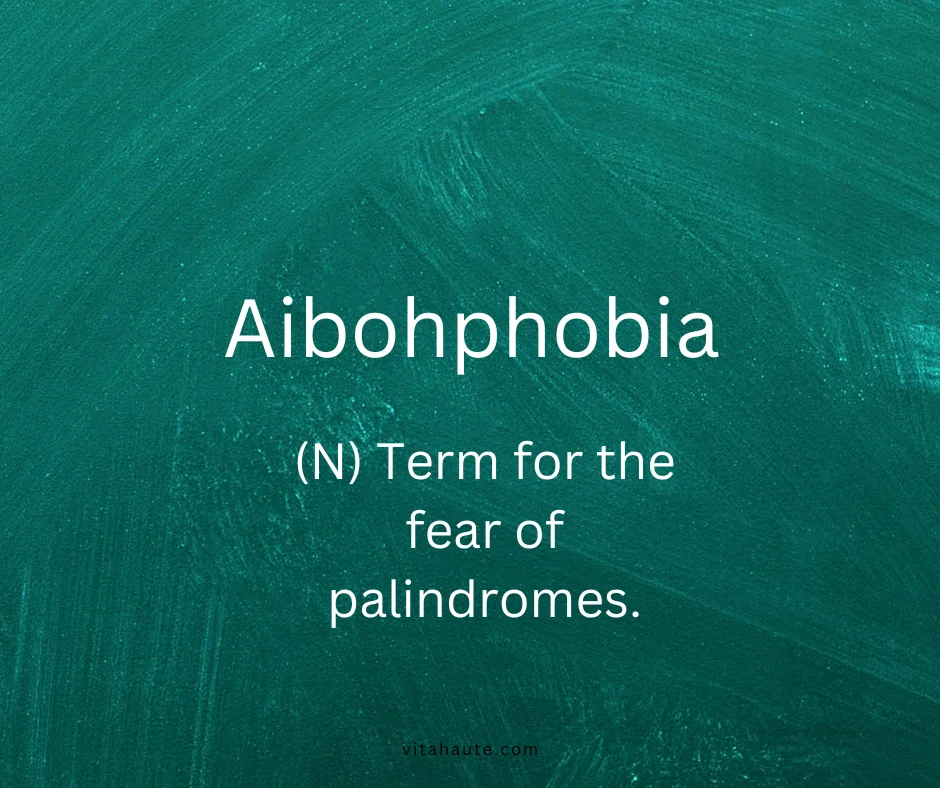 Aibohphobia shown on a light educational-style card with clean layout