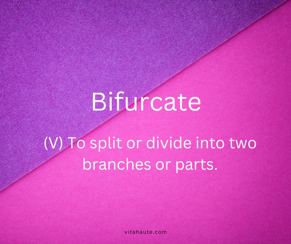 Bifurcate shown on a formal clean academic typography layout