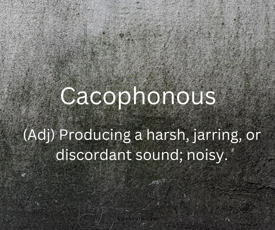 Cacophonous displayed on a muted gray structured typography background