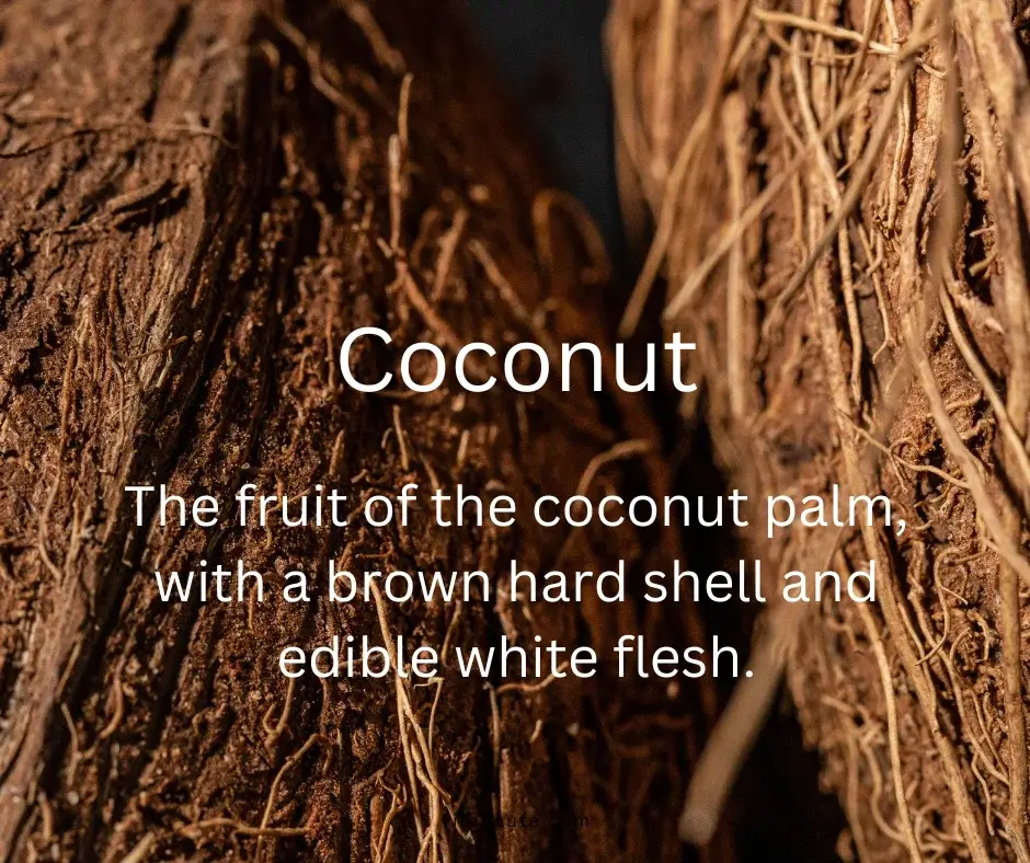Coconut displayed on a soft tropical-toned minimal background
