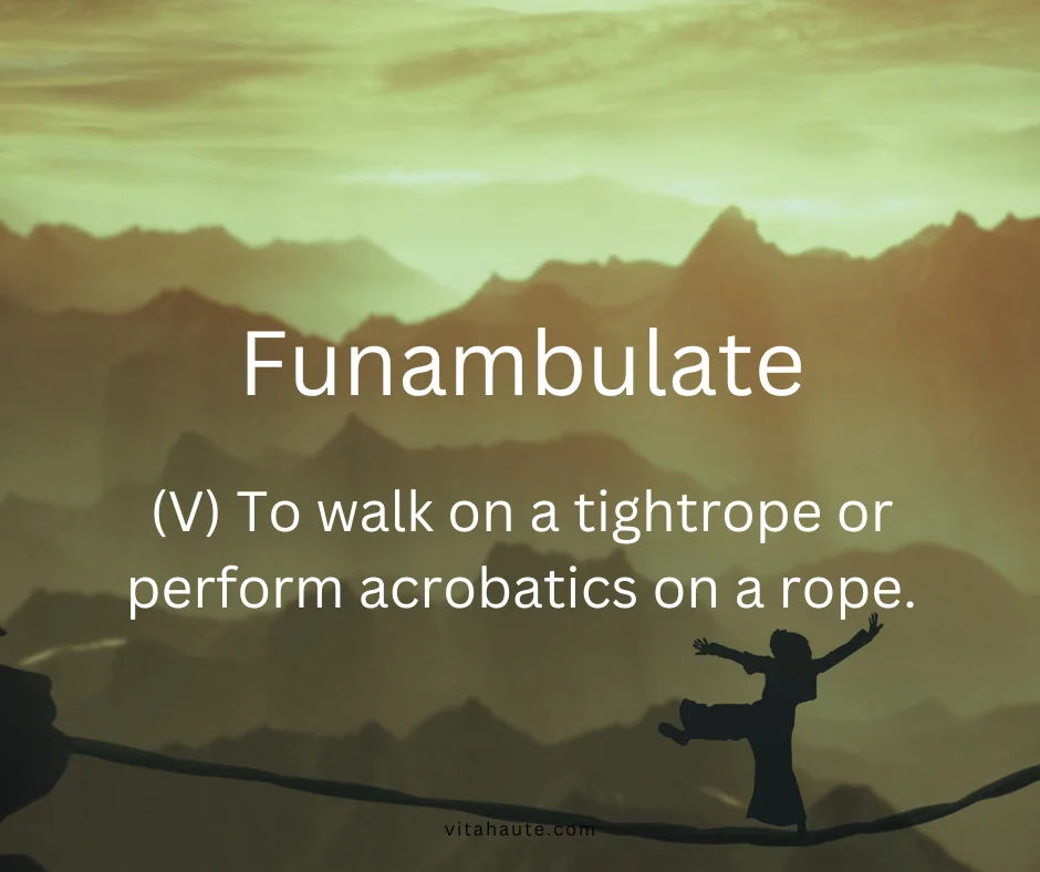 Funambulist shown on a dramatic dark gradient word card with elegant typography