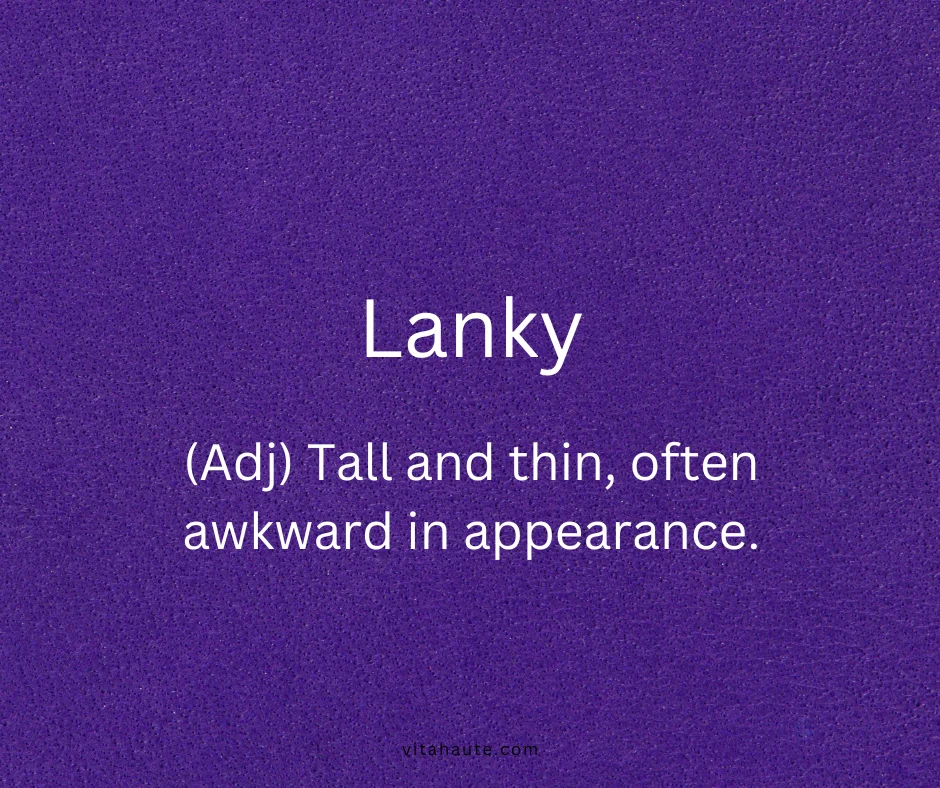 Lanky shown on a tall stretched typography design card