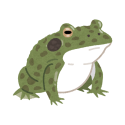 close-up bullfrog in nature