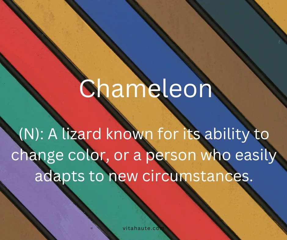 Chameleon perched on a branch with changing colors