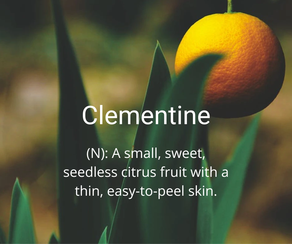 Fresh clementine with its bright orange peel