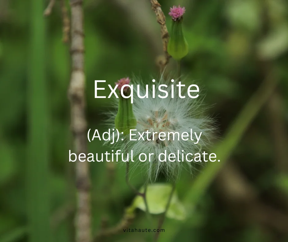 Delicate and finely crafted jewelry
