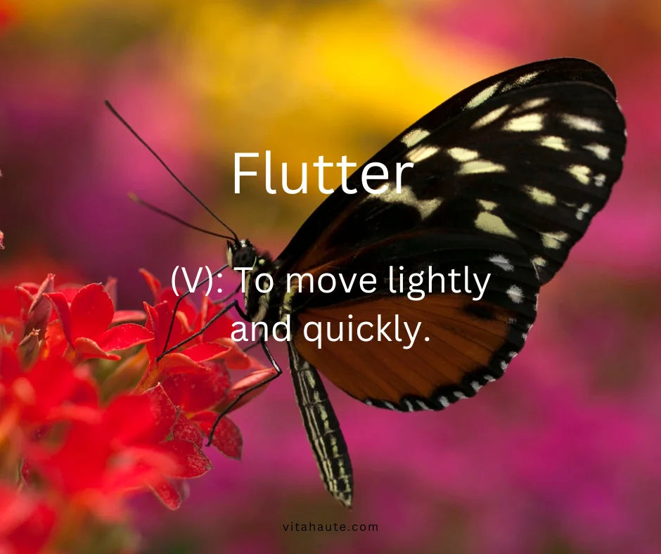 Butterfly flying among flowers