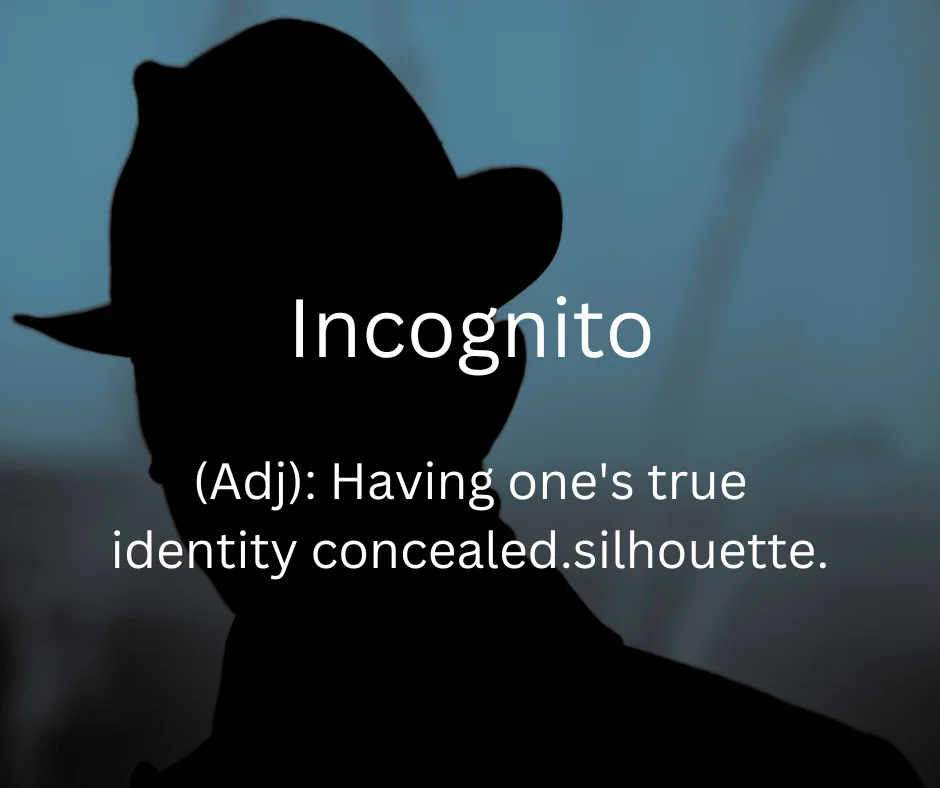 Person wearing a disguise in public